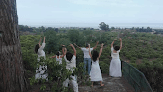 Sanghita Tantric Center